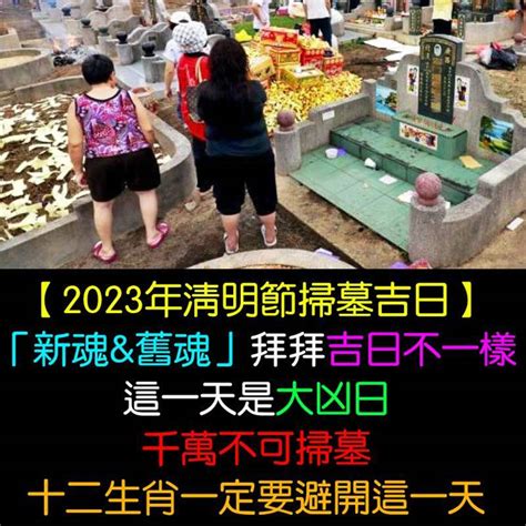 2023清明閉墓日期|【2023掃墓吉日】2023清明掃墓吉日全攻略：錯過再等一年，把。